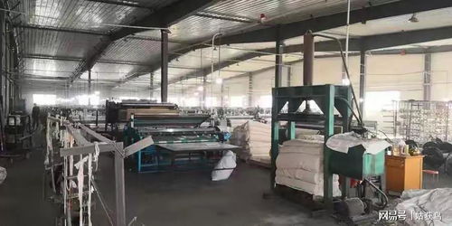 石河子市大型工廠二次流拍 1752.8萬元仍無人問津